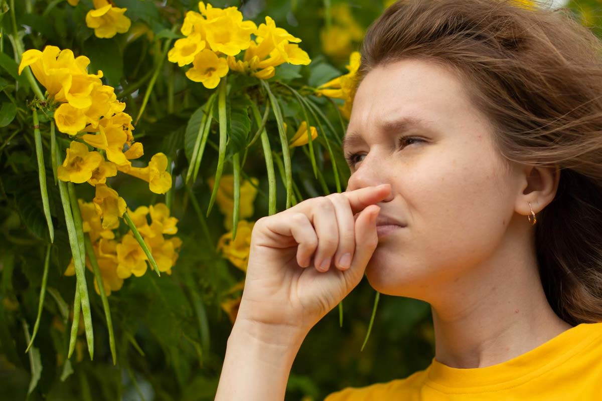 Alerte rouge aux allergies : la saison des pollens particulièrement intense en France